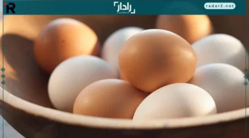 سعر كرتونة البيض في بورصة الدواجن اليوم السبت 15-11-2025 يستمر بالاستقرار
